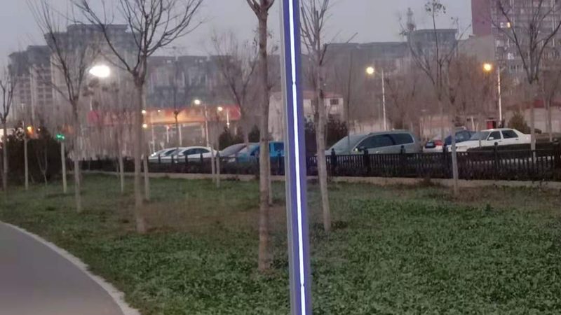 别墅花园景观照明效果图：如何打造梦幻光影空间